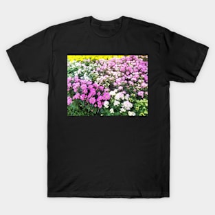 Daisy Garden T-Shirt